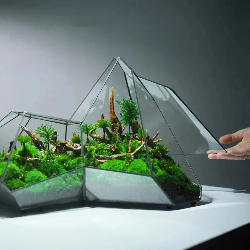 Geometric Glass Moss Planter Terrarium Vase | Karnz