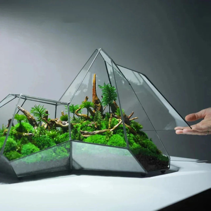 Geometrischer Glasmoos-Planter-Terrarium-Vase | Karnz