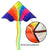 Karnz | Bunter Langschwanz Outdoor Regenbogen Drache