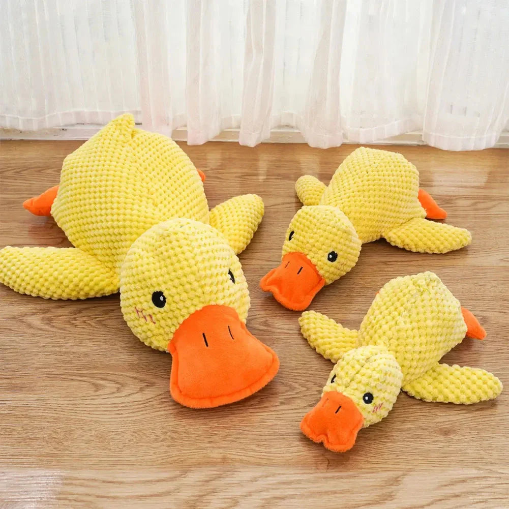 Karnz Quack Spielzeug