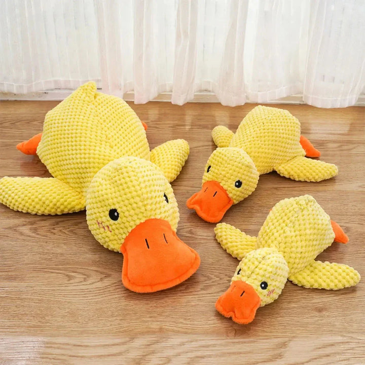 Karnz Quack Spielzeug
