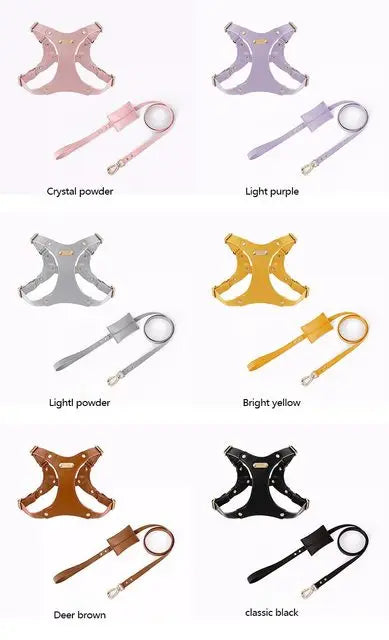 Verstellbares Leder-Hundegeschirr mit personalisierbarem Gravur Karnz