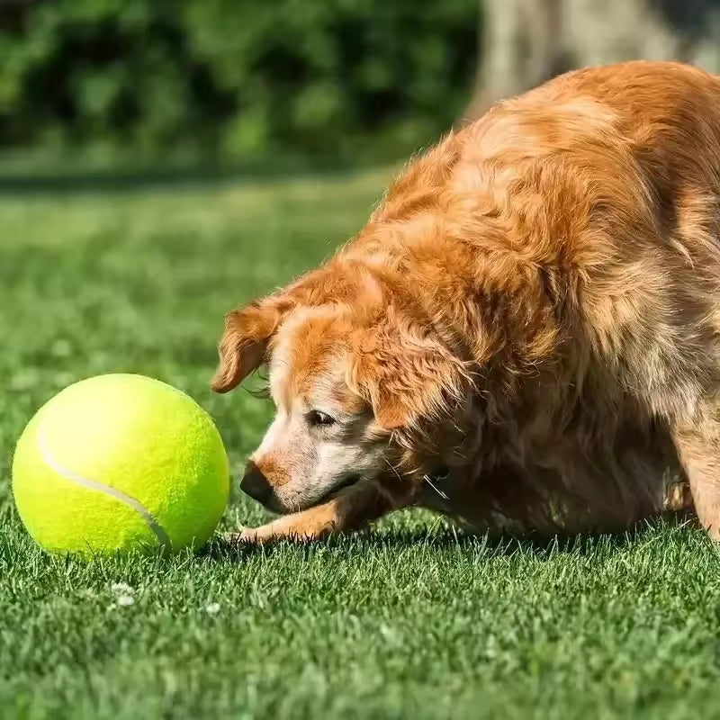 Extra große Tennisball für Hunde Karnz