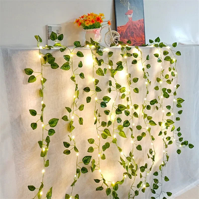 GreenGlow Lichterkette - Für eine Gemütliche Natürliche Beleuchtung | Karnz