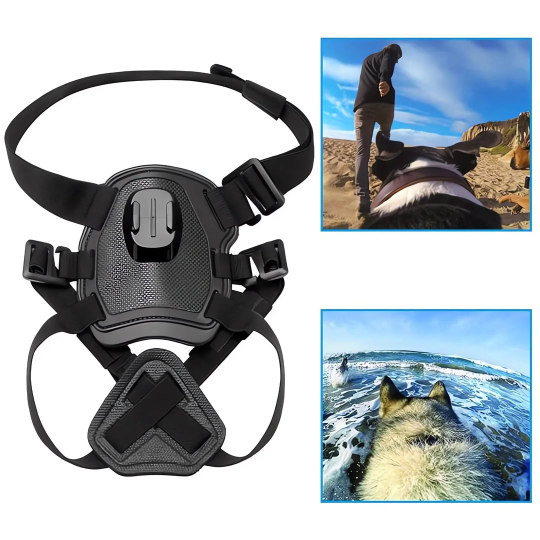 Action-Cam Hundegeschirr mit 360° Perspektive Karnz