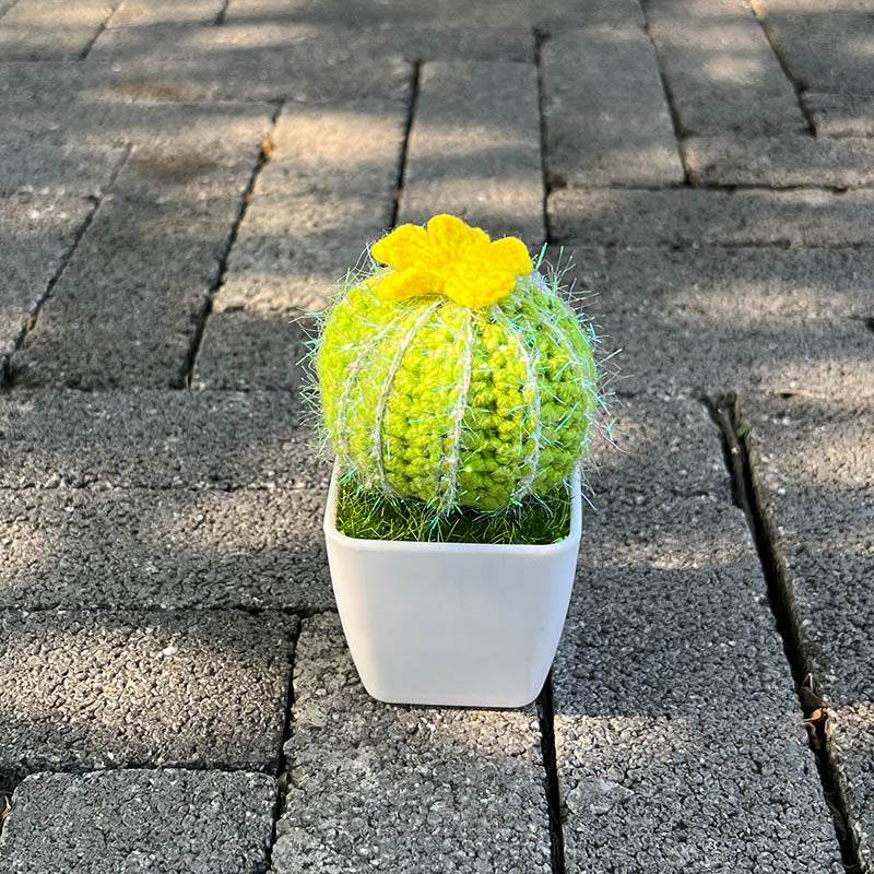 Handgestrickte Kaktee