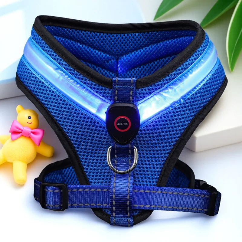 LED Hundegeschirr USB wiederaufladbar & verstellbar Karnz