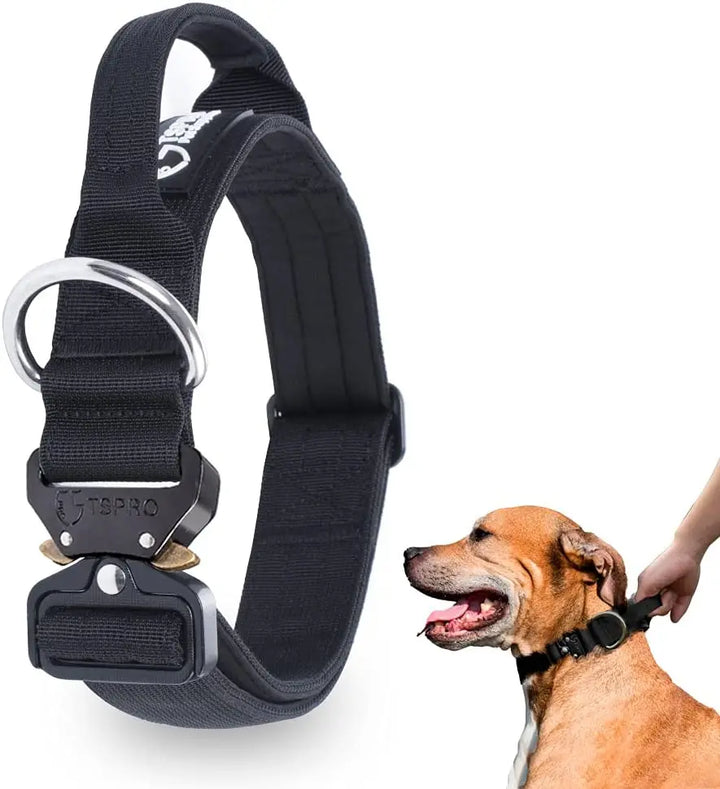 Taktische Hundehalsband mit Metallschnalle & Griff Karnz