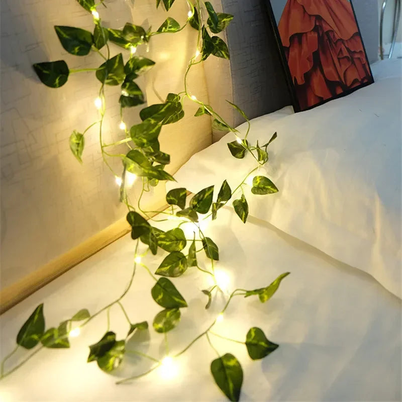 GreenGlow Lichterkette - Für eine Gemütliche Natürliche Beleuchtung | Karnz