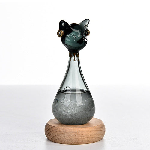 Kat-inspirierte Wettervorhersage-Flasche | Karnz