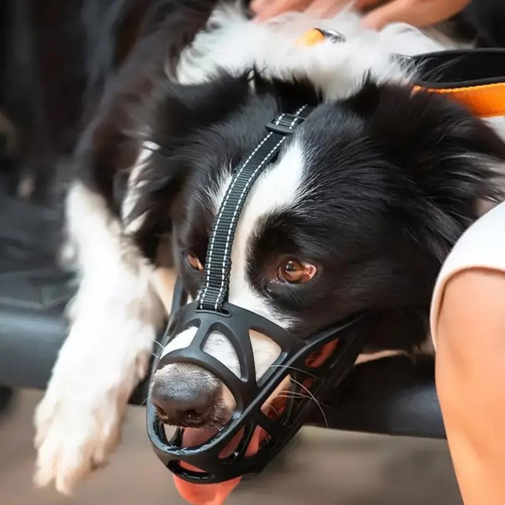 SafeBark Maulkorb für Hunde – Effektive Anti-Biss- und Anti-Bell-Lösung, Atmungsaktiv und Bequem | Karnz
