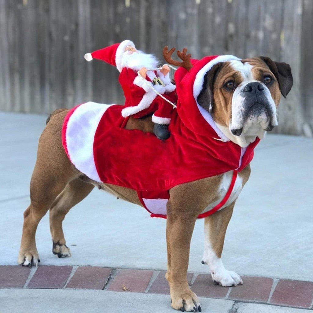 Weihnachtsmann Hundekostüm | Karnz