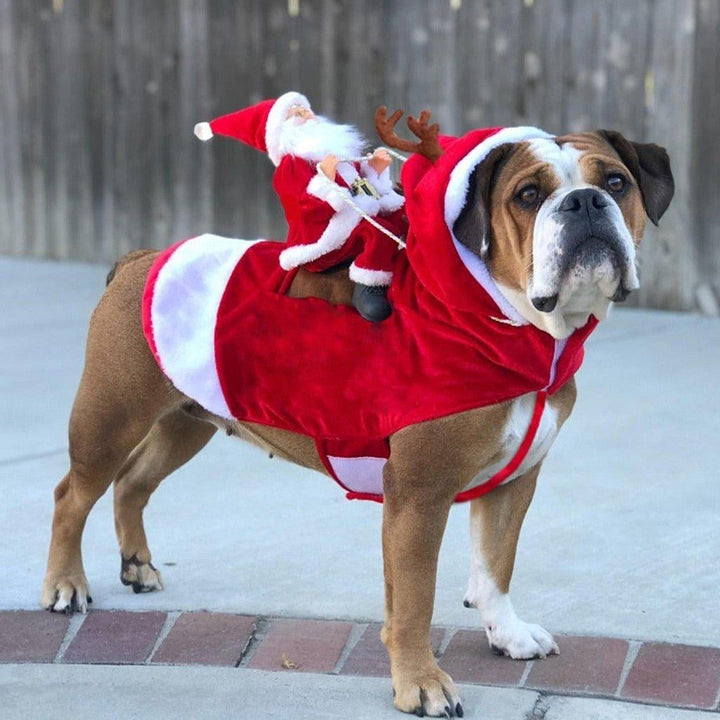 Weihnachtsmann Hundekostüm | Karnz