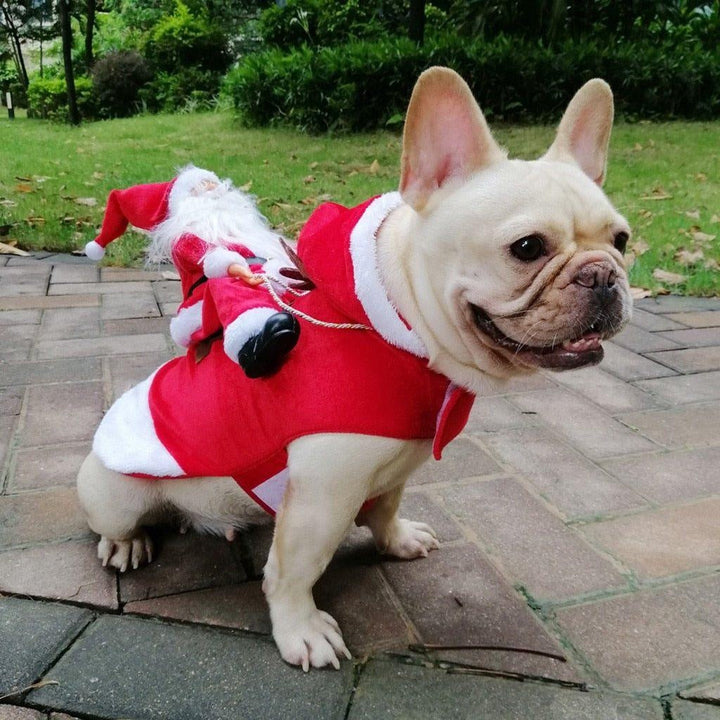 Weihnachtsmann Hundekostüm | Karnz