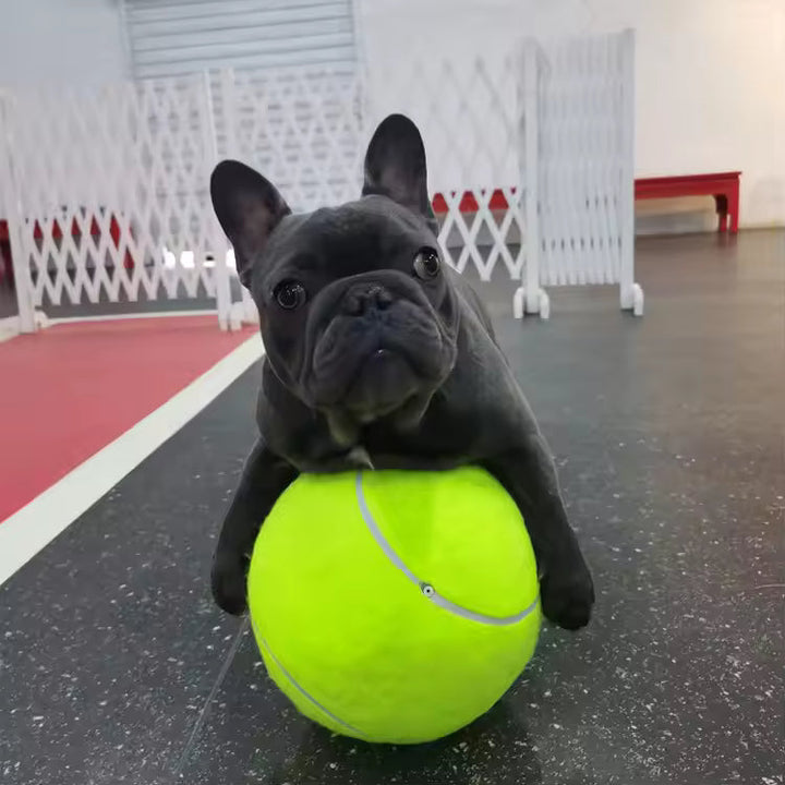 Extra große Tennisball für Hunde Karnz
