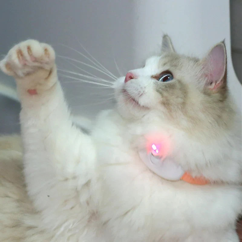 Freesthetic Laser-Kragen für Katzen Karnz
