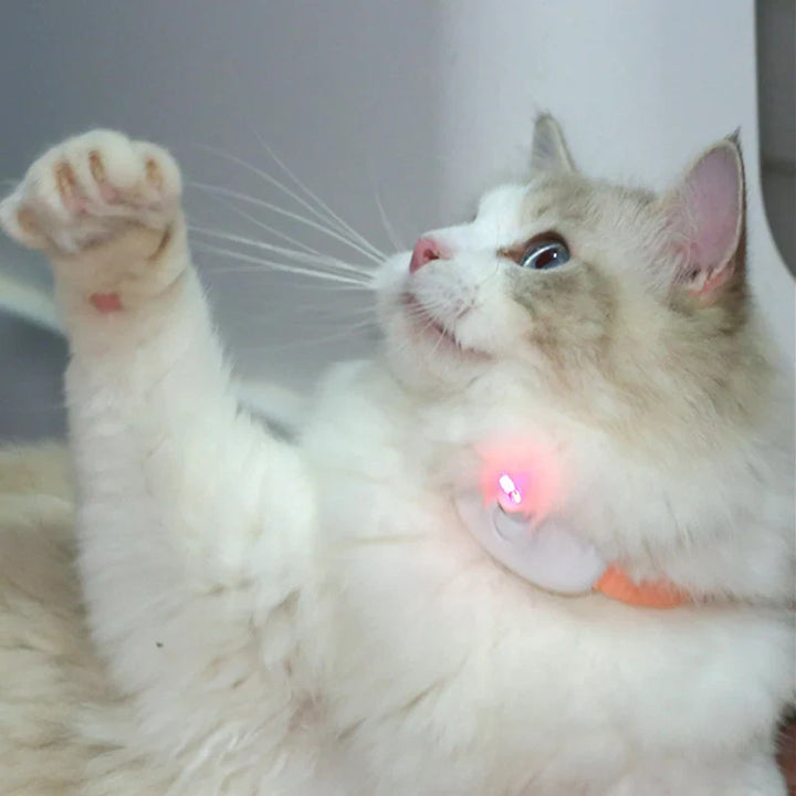 Freesthetic Laser-Kragen für Katzen Karnz