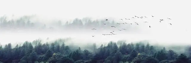 Bergsee Wald Wildnis Wandkunst Großformat Leinwanddrucke Breitformat Landschaftsbild Für Über Das Sofa Oder Über Das Bett | Karnz