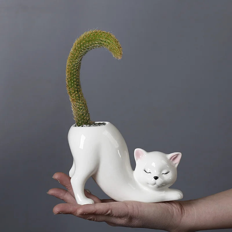 Niedlicher Katzen-Blumentopf - Glasiertes Porzellan-Sukkulenten-Planter | Karnz