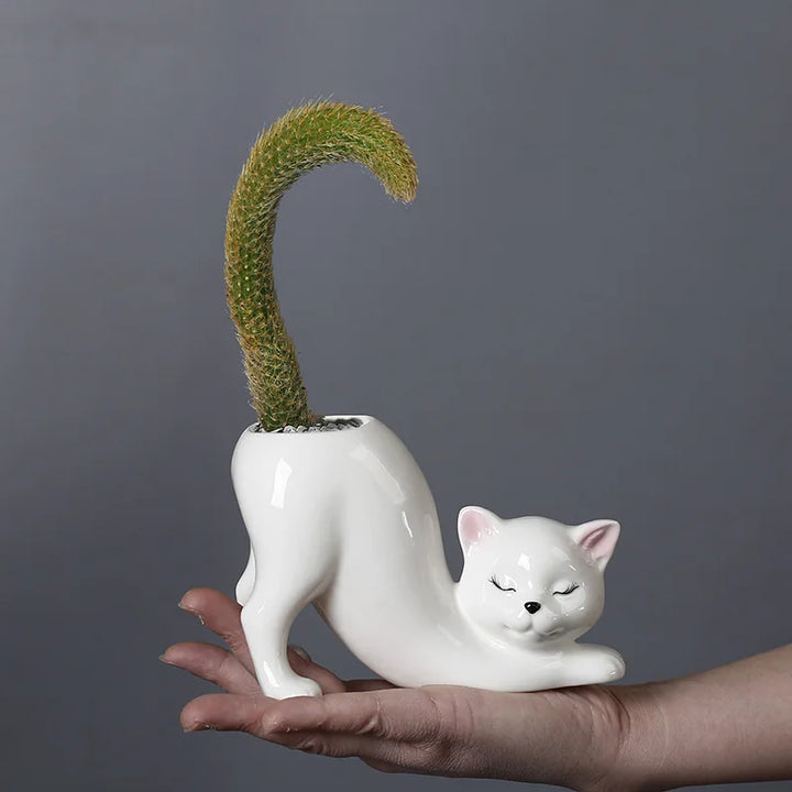 Niedlicher Katzen-Blumentopf - Glasiertes Porzellan-Sukkulenten-Planter | Karnz