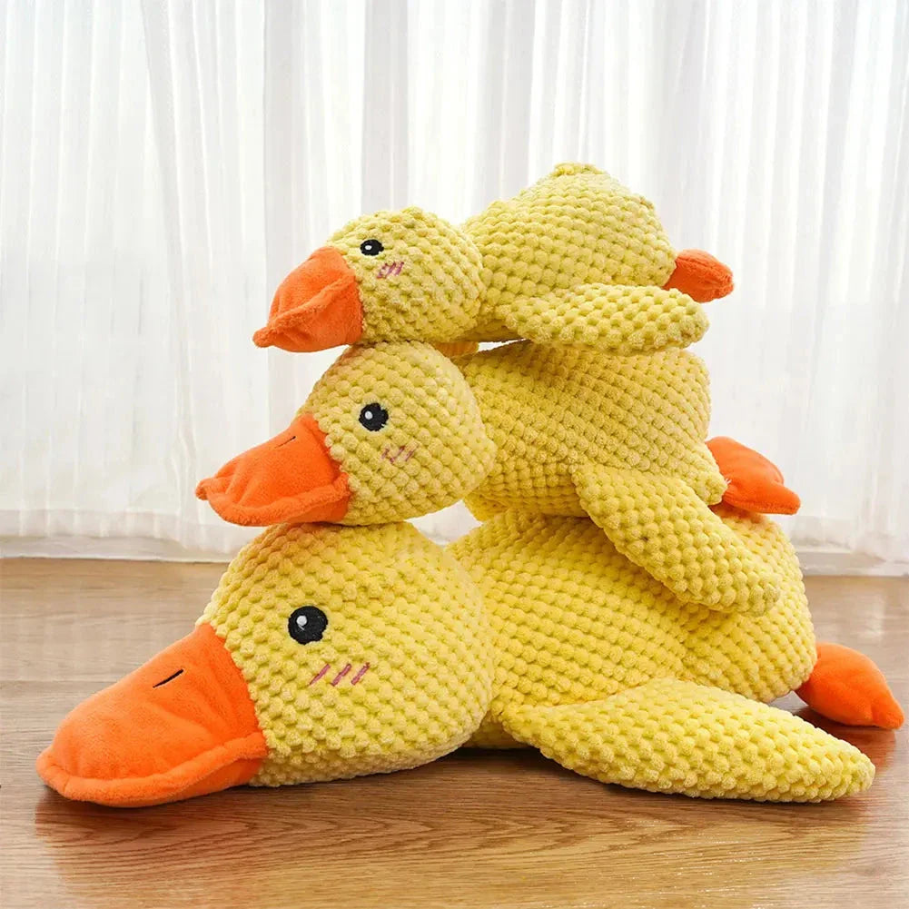 Karnz Quack Spielzeug