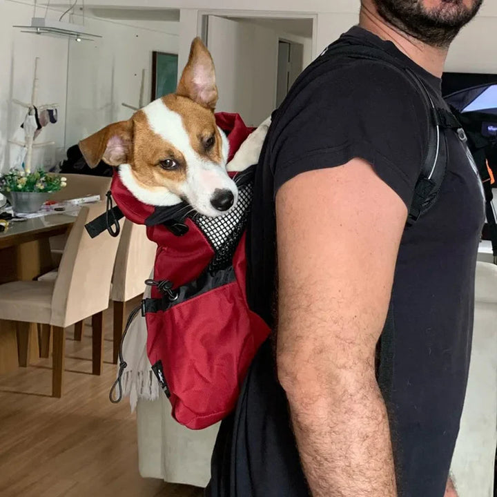 Hunderrucksack für Outdoor & Reisen atmungsaktive Karnz