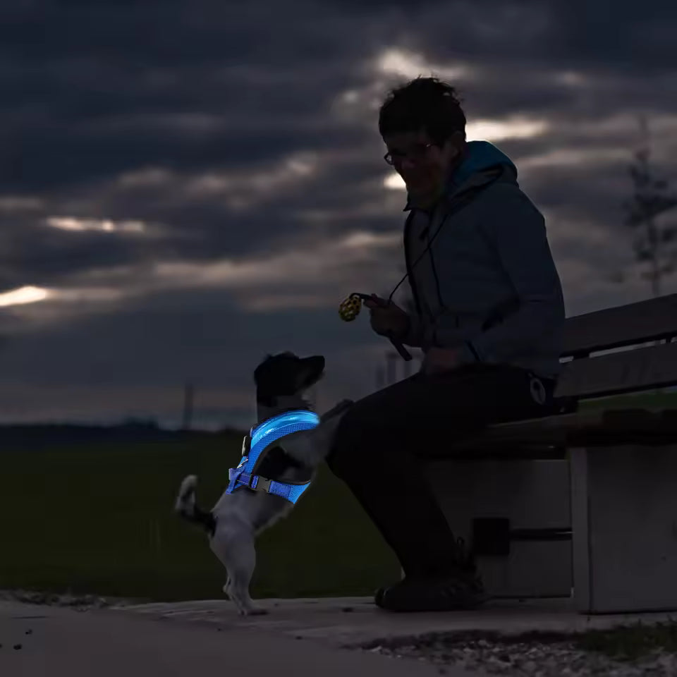 LED Hundegeschirr USB wiederaufladbar & verstellbar Karnz