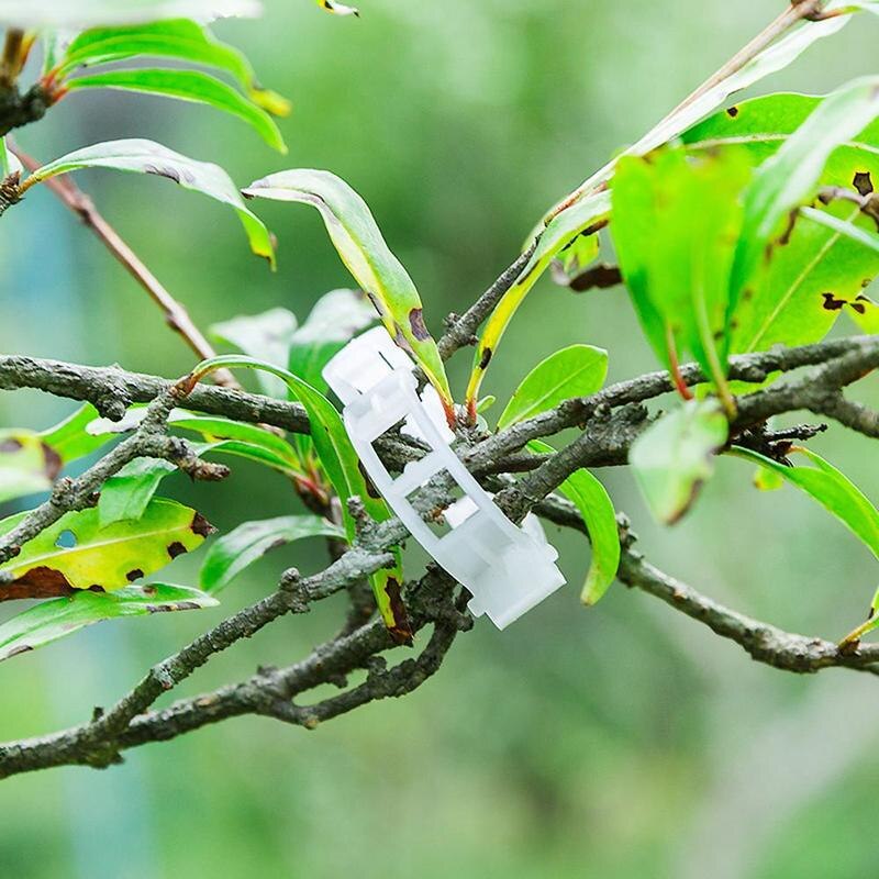 Grüner Garten Sicher Pflanzenstützclips | Karnz