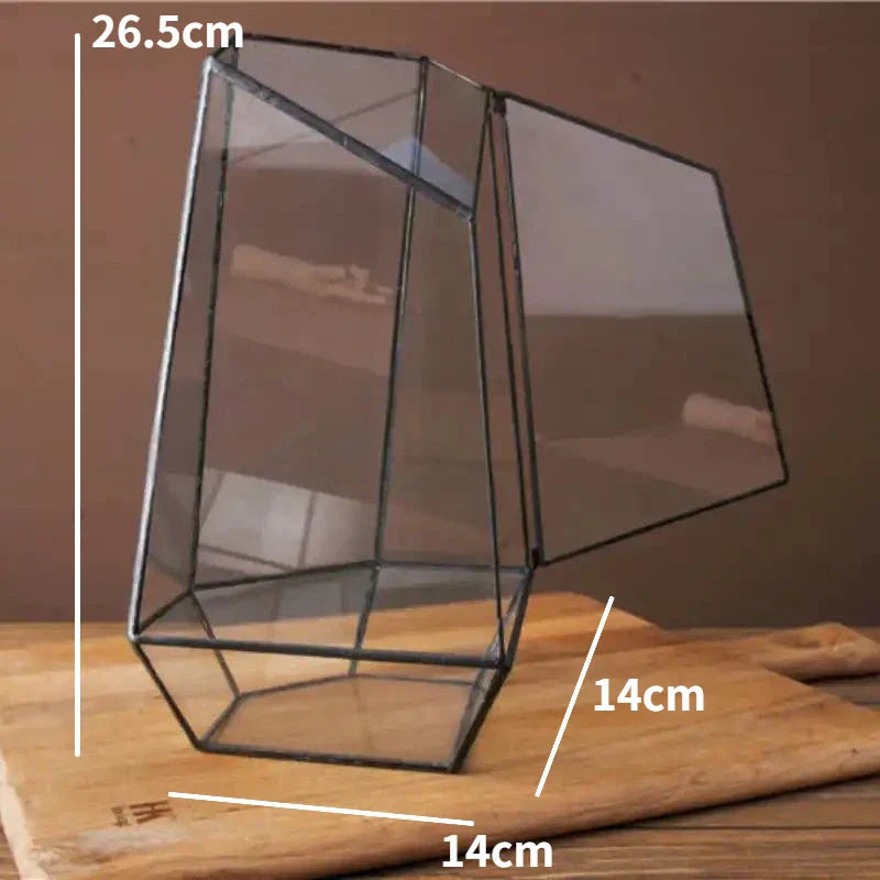 Moderner geometrischer, von der Natur inspirierter botanischer Terrarium