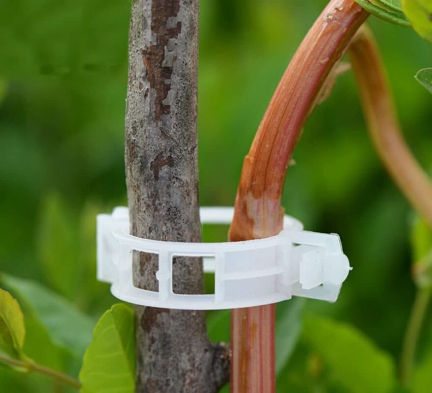 Grüner Garten Sicher Pflanzenstützclips | Karnz