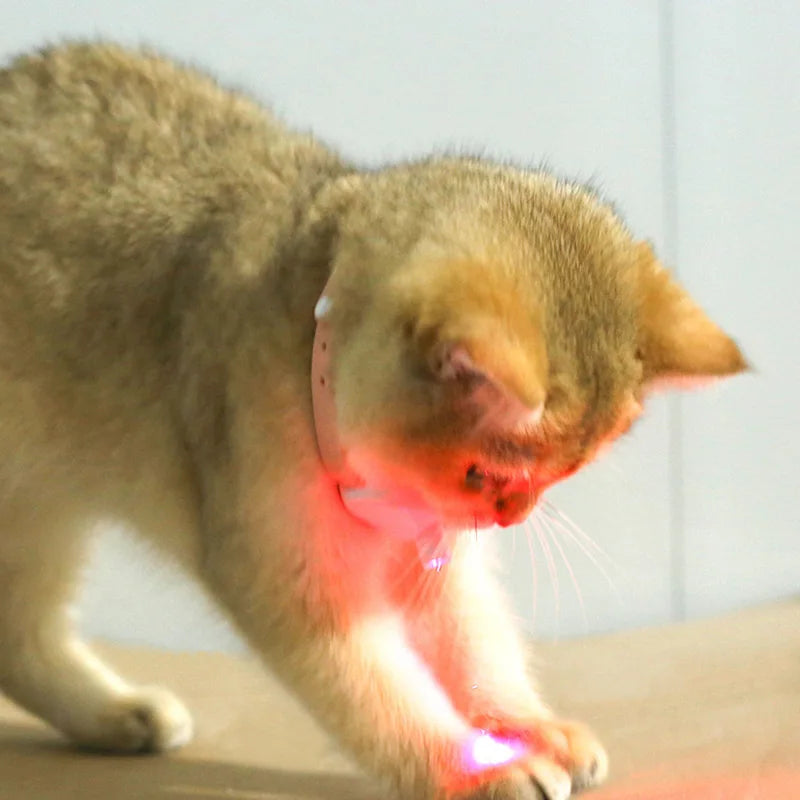 Freesthetic Laser-Kragen für Katzen Karnz