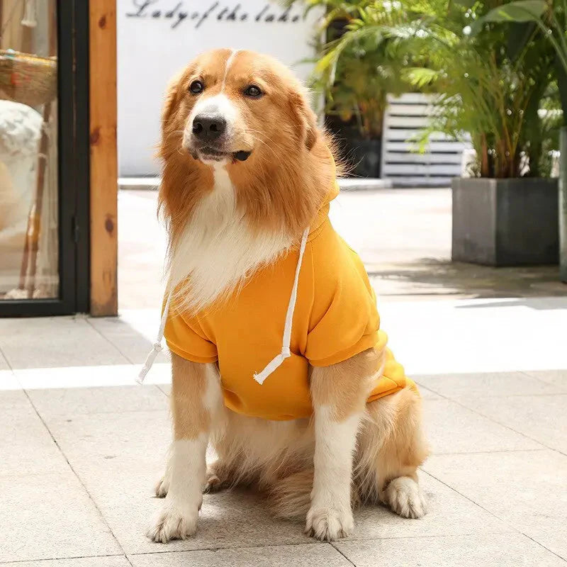 Karnz Paws Fleece Hoodie