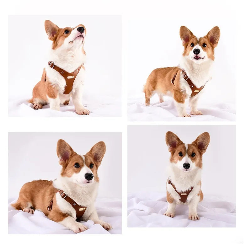 Verstellbares Leder-Hundegeschirr mit personalisierbarem Gravur Karnz