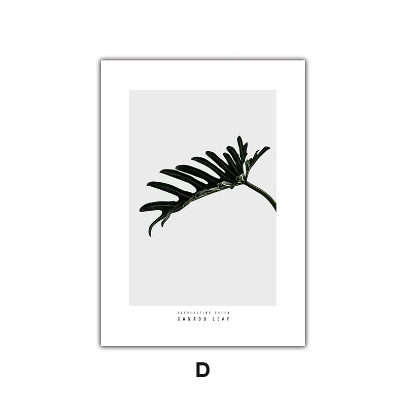 Minimalistische grüne Blätter moderne botanische Exemplare Wandkunst Fine Art Leinwanddrucke Galerie Wandbilder für Wohnzimmer Esszimmer Kunstdeko | Karnz