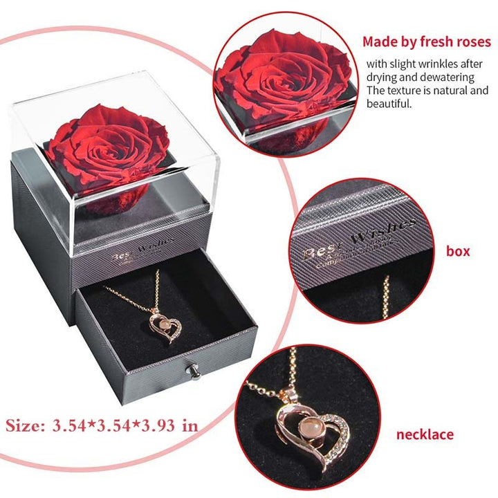 Karnz | Natürliche ewige Rose Halskette Schmuckbox