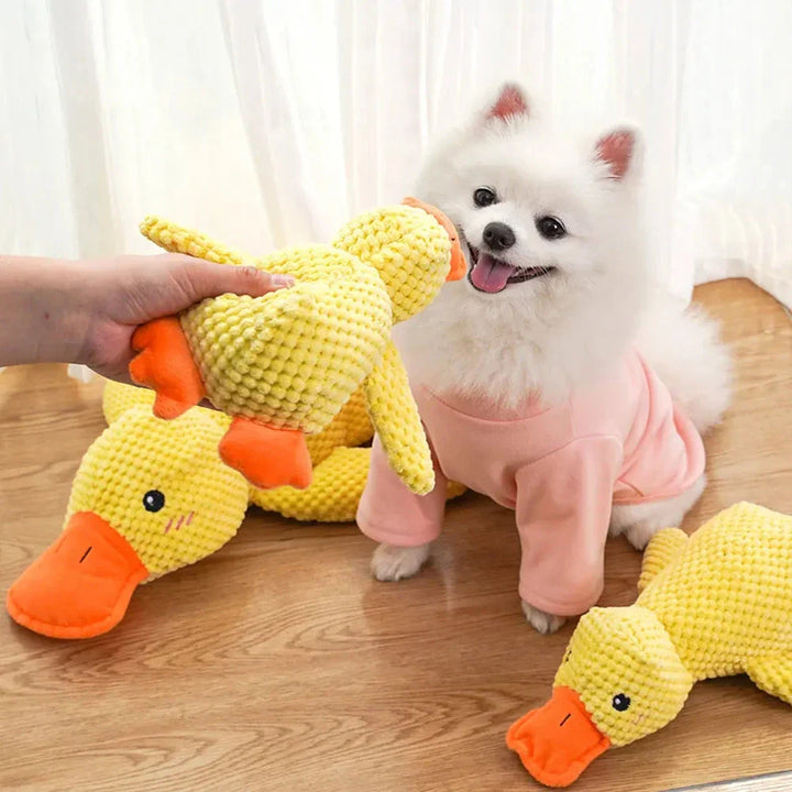 Karnz Quack Spielzeug