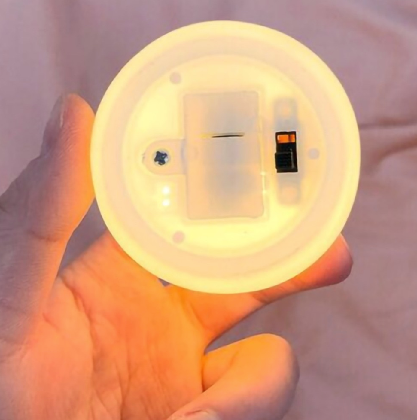 Chelly Chic Shell Lampe | Eine magische Lampe mit einer Perle | Karnz