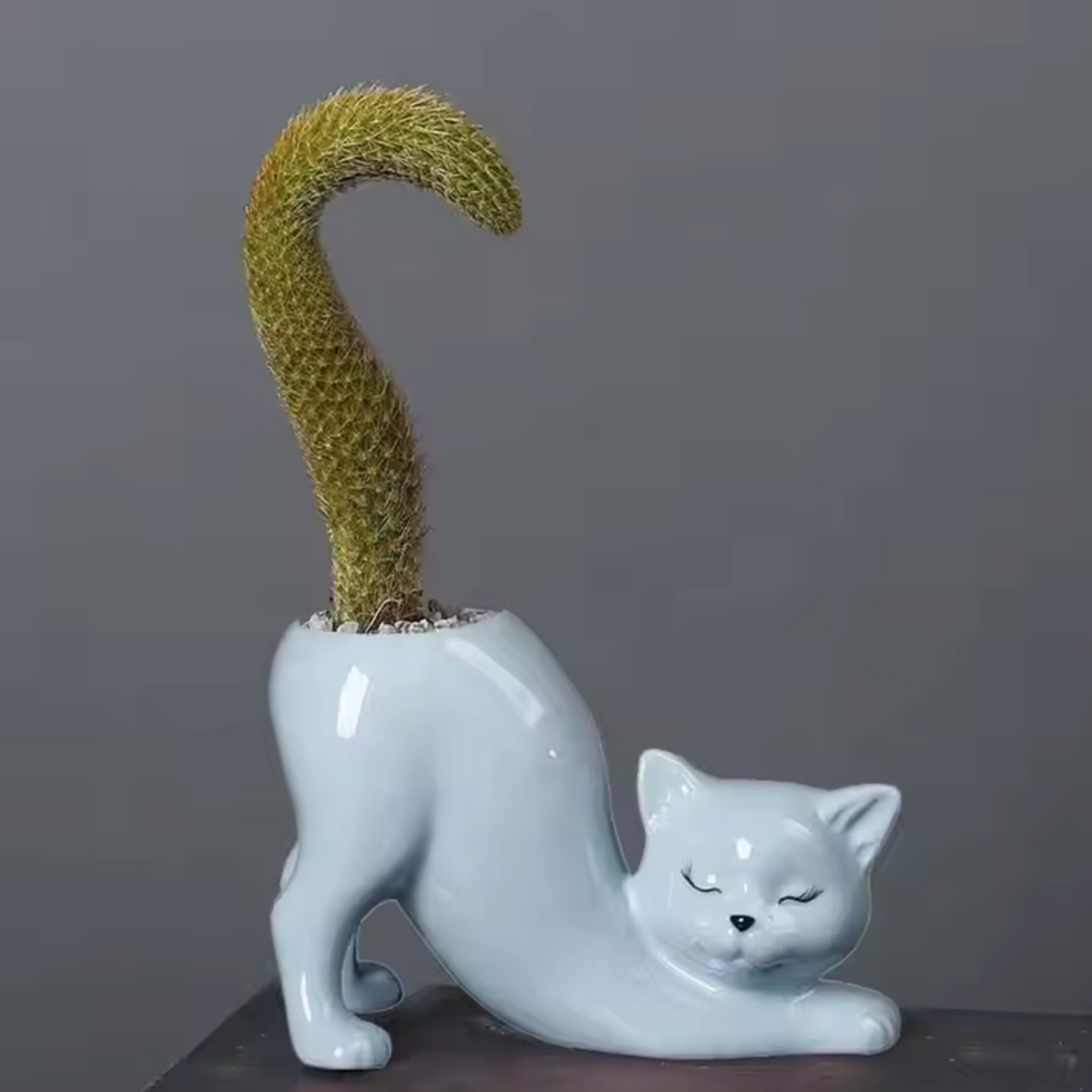 Niedlicher Katzen-Blumentopf - Glasiertes Porzellan-Sukkulenten-Planter | Karnz