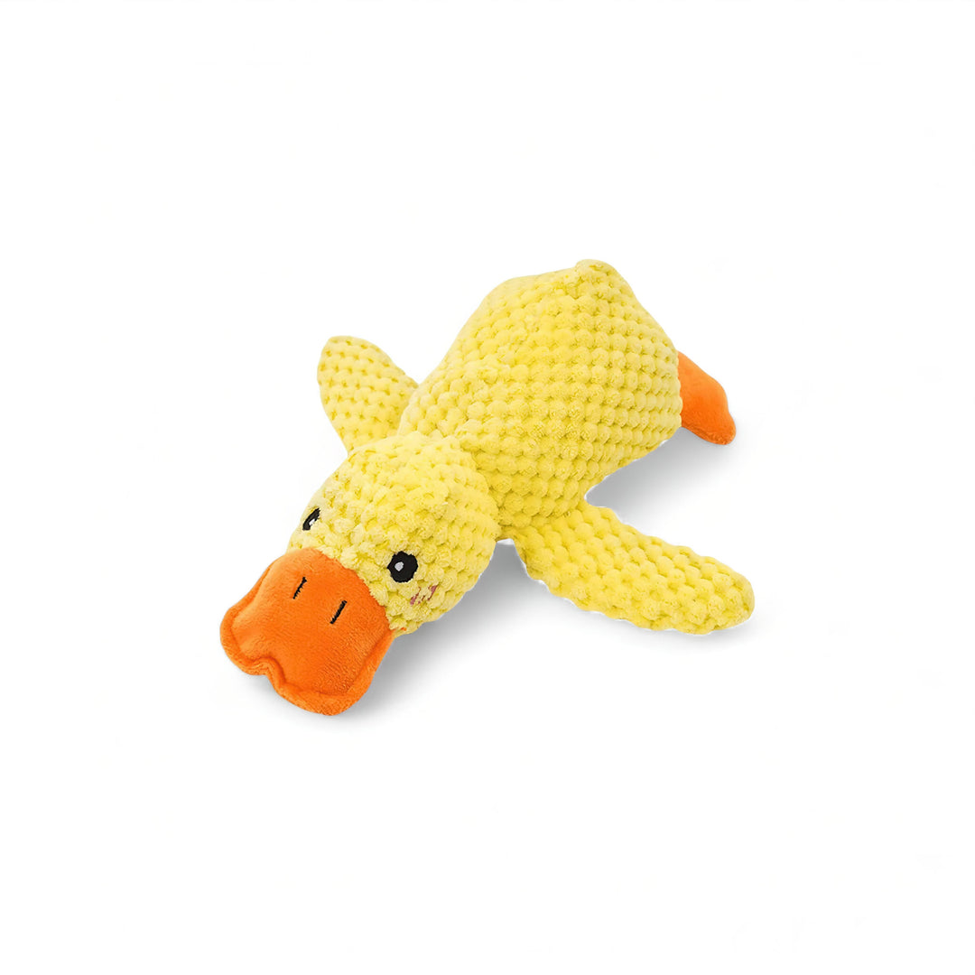 Karnz Quack Spielzeug