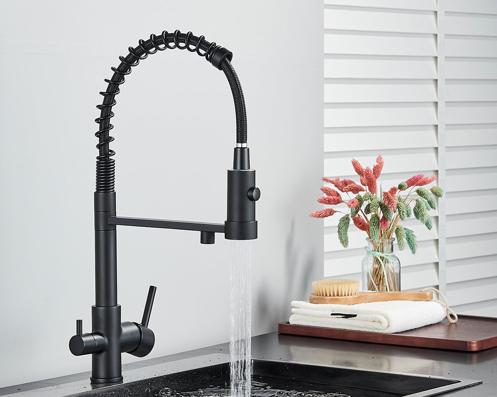 Sandsberg Schwarzer Filter-Küchenwasserhahn mit Dual-Auslauf – Mischbatterie mit Wasserfilter für Küchen, Wasseraufbereitung und Reinigung | Karnz