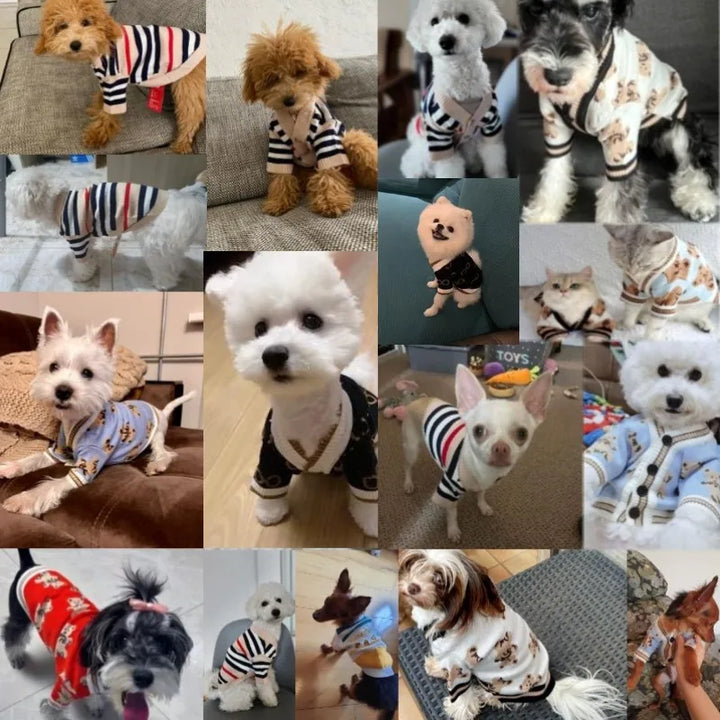 Hundekardigan aus gestricktem, warmem und gestreiftem Karnz