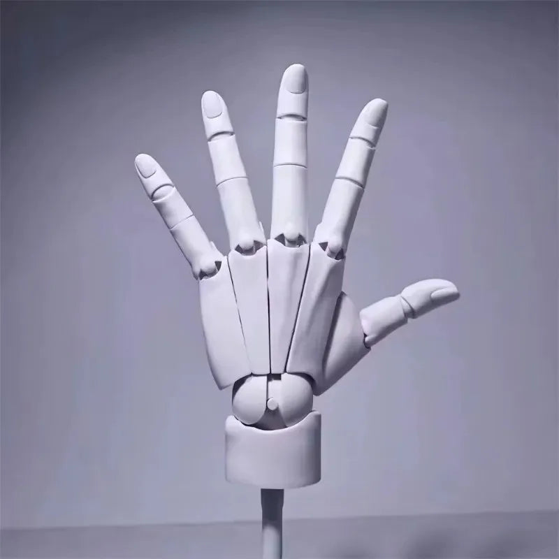 Multi-Pose Zeichnen Modellieren Kunst Handmodell
