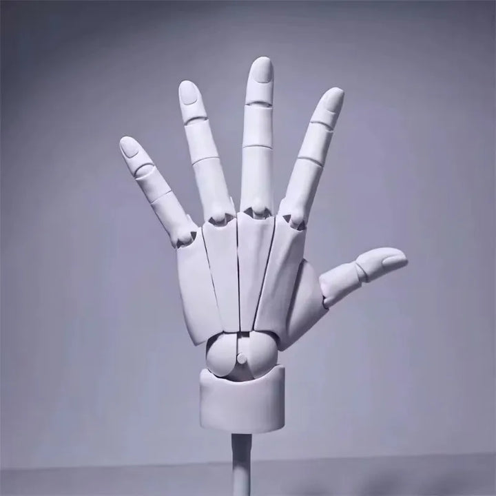 Multi-Pose Zeichnen Modellieren Kunst Handmodell