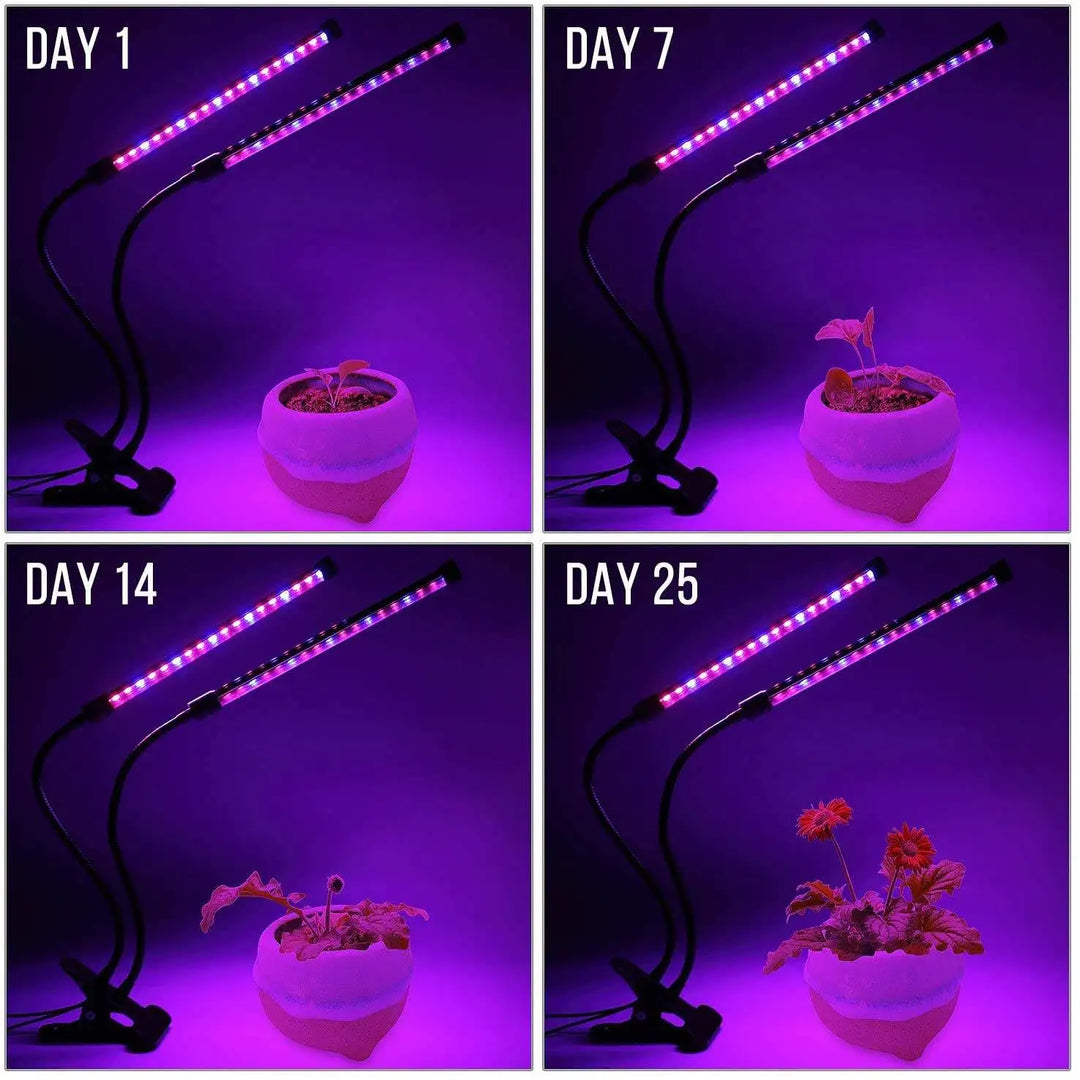 LumiPlant LED-Pflanzenlampe | USB-Pflanzenlampe | 1–4 Leuchtenköpfe | Dimmbar mit Timer