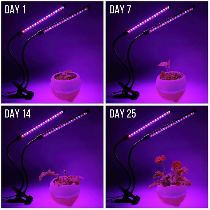 LumiPlant LED-Pflanzenlampe | USB-Pflanzenlampe | 1–4 Leuchtenköpfe | Dimmbar mit Timer