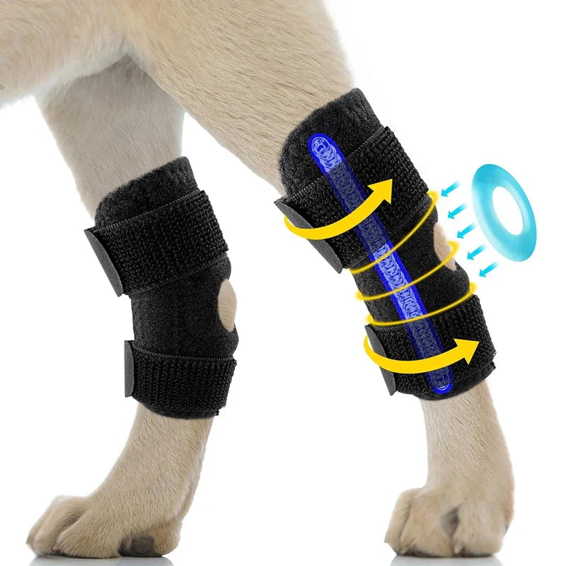 Orthopädische Gelenkstütze für Hunde stabilisierender Karnz