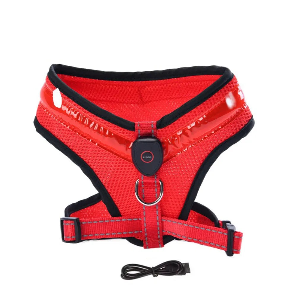 LED Hundegeschirr USB wiederaufladbar & verstellbar Karnz