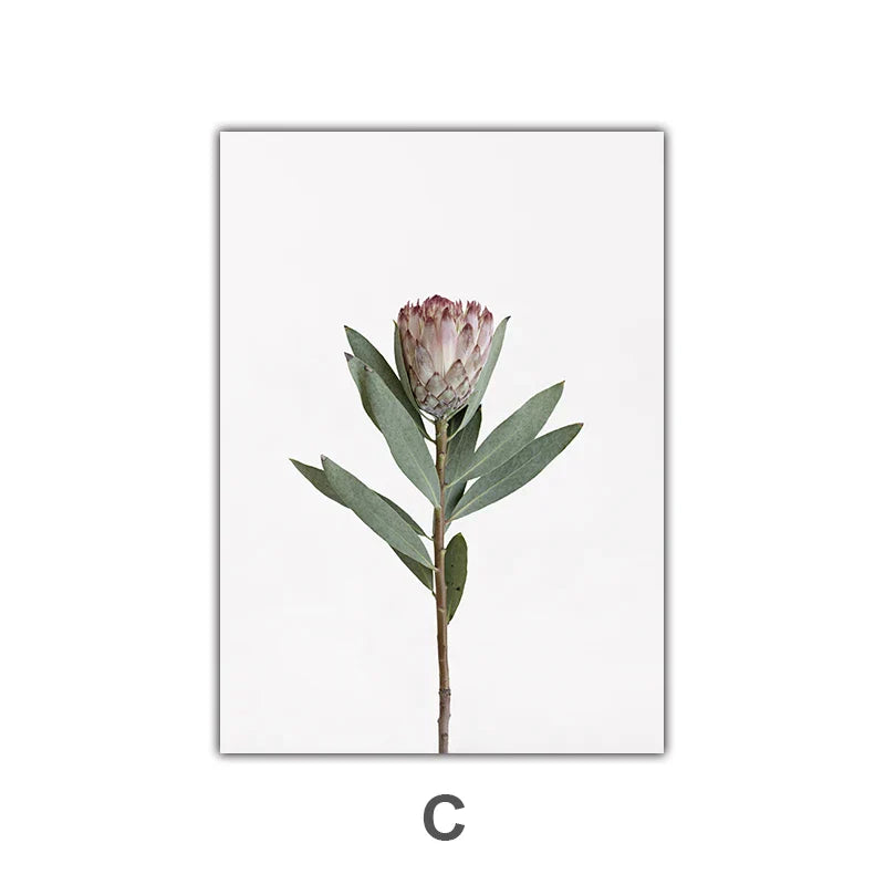 Minimalistische Pinke Florale Botanische Wandkunst Feine Kunstleinwanddrucke Posten Elegante Bilder Für Nordic Wohnzimmer Esszimmer Schlafzimmer Kunst Dekor | Karnz