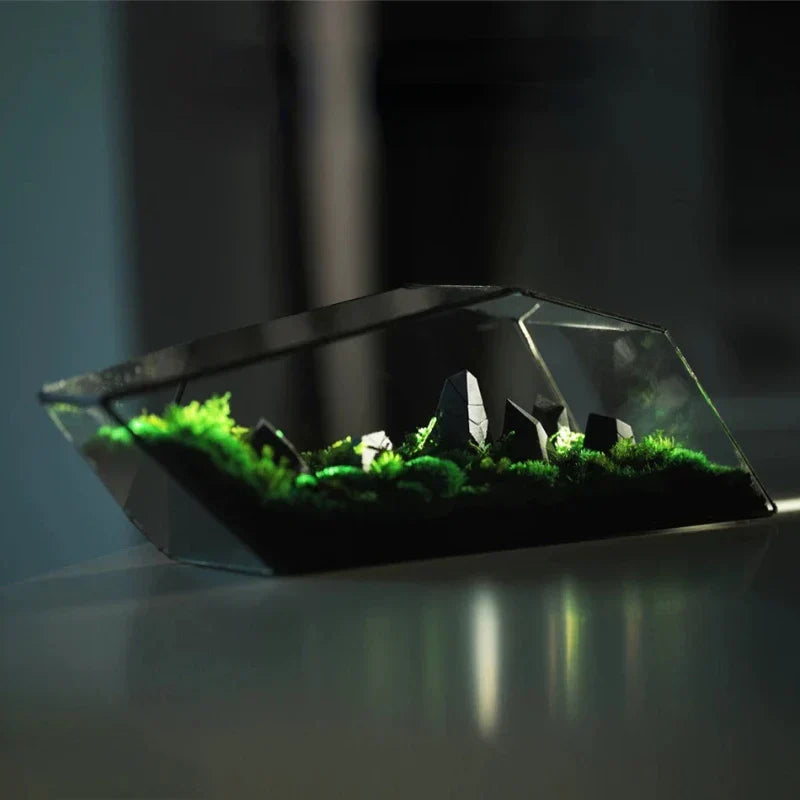 Geometric Glass Moss Planter Terrarium Vase | Karnz