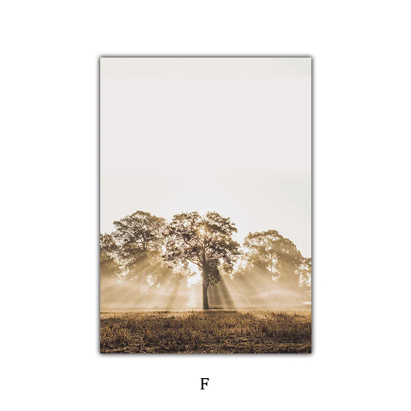 Einfache Natur Flora-Landschaft Galerie Wandkunst Fine Art Leinwanddrucke Minimalistische Nordic Bilder für das Wohnzimmer Skandinavische Wohnkultur | Karnz